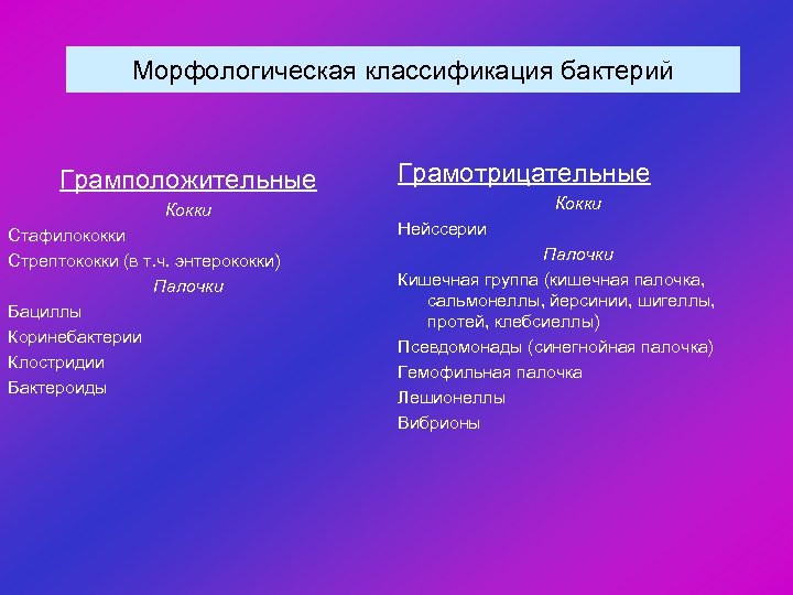 Морфологическая классификация бактерий Грамположительные Кокки Стафилококки Стрептококки (в т. ч. энтерококки) Палочки Бациллы Коринебактерии