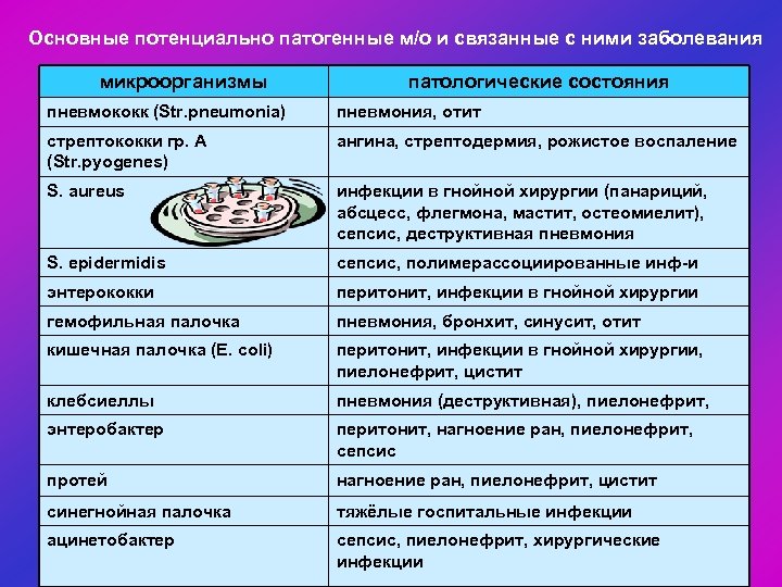 Основные потенциально патогенные м/о и связанные с ними заболевания микроорганизмы патологические состояния пневмококк (Str.