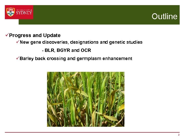 Outline üProgress and Update üNew gene discoveries, designations and genetic studies - BLR, BGYR