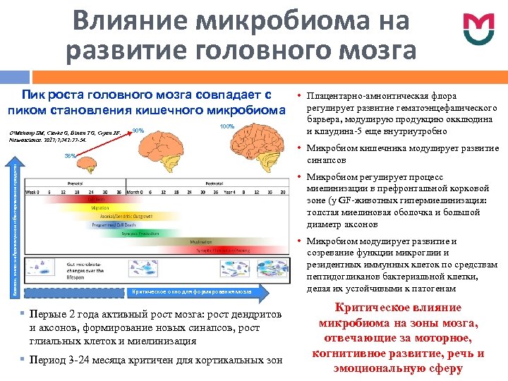Влияние микробиома на развитие головного мозга • Пик роста головного мозга совпадает с пиком