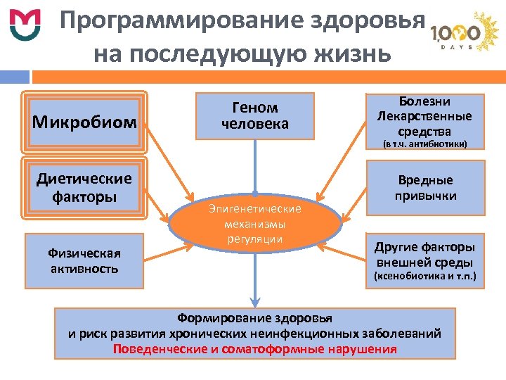 Программирование здоровья на последующую жизнь Микробиом Геном человека Болезни Лекарственные средства (в т. ч.