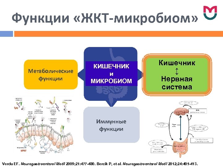 Функции «ЖКТ-микробиом» Метаболические функции КИШЕЧНИК МИКРОБИОМ Кишечник ↕ Нервная система Иммунные функции Verdu EF.