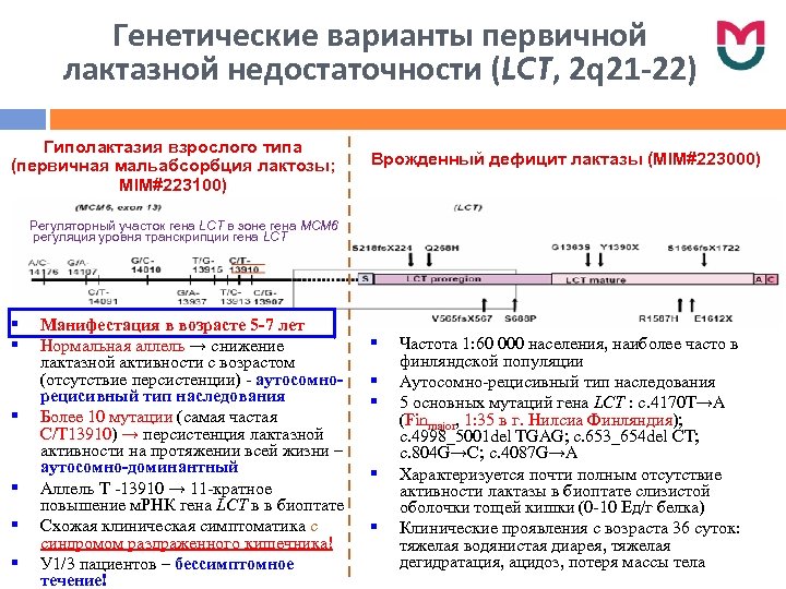 Генетические варианты первичной лактазной недостаточности (LCT, 2 q 21 -22) Гиполактазия взрослого типа (первичная