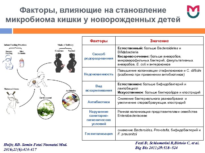 Факторы, влияющие на становление микробиома кишки у новорожденных детей Факторы Способ родоразрешения Недоношенность Вид