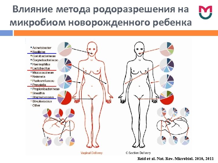 Влияние метода родоразрешения на микробиом новорожденного ребенка Reid et al. Nat. Rev. Microbiol. 2010,