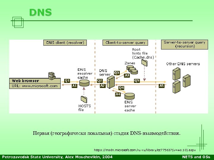 DNS Первая (географически локальная) стадия DNS-взаимодействия. https: //msdn. microsoft. com/ru-ru/library/cc 775637(v=ws. 10). aspx Petrozavodsk