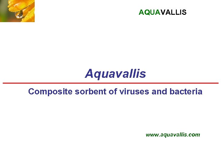 AQUAVALLIS Aquavallis Composite sorbent of viruses and bacteria www. aquavallis. com 