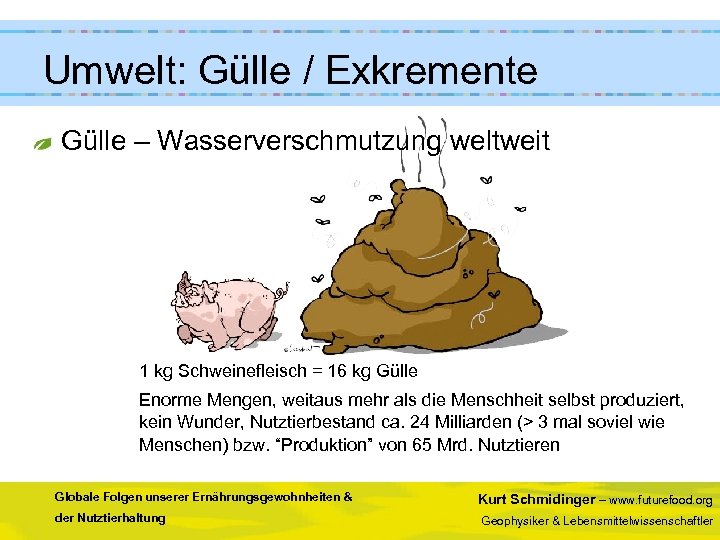Umwelt: Gülle / Exkremente Gülle – Wasserverschmutzung weltweit 1 kg Schweinefleisch = 16 kg