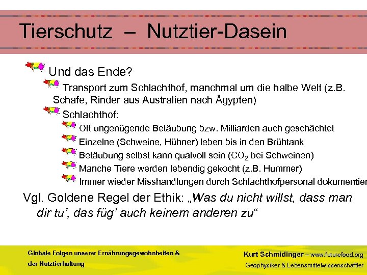 Tierschutz – Nutztier-Dasein Und das Ende? Transport zum Schlachthof, manchmal um die halbe