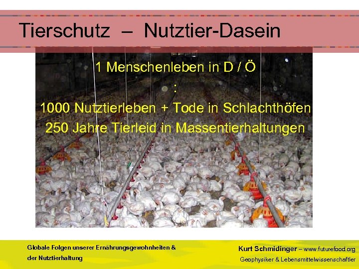  Tierschutz – Nutztier-Dasein 1 Menschenleben in D / Ö : 1000 Nutztierleben +