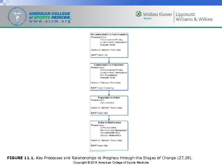 FIGURE 11. 1. Key Processes and Relationships to Progress through the Stages of Change