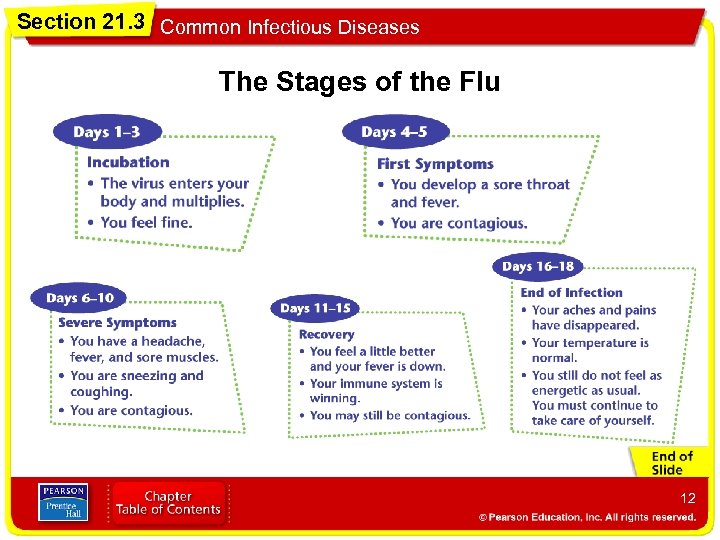 Section 21. 3 Common Infectious Diseases The Stages of the Flu 12 