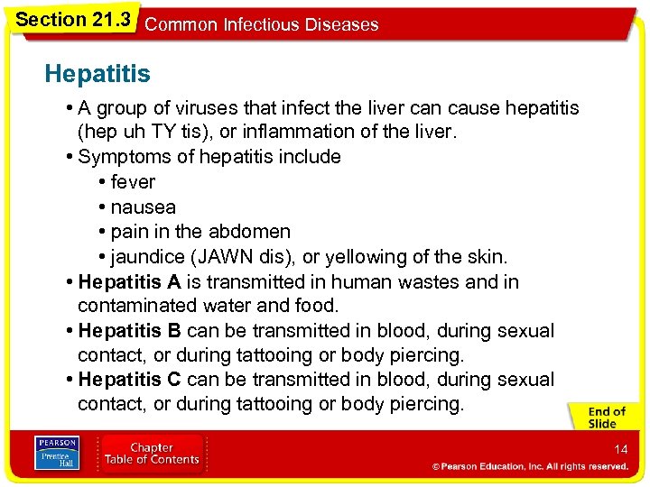 Section 21. 3 Common Infectious Diseases Hepatitis • A group of viruses that infect