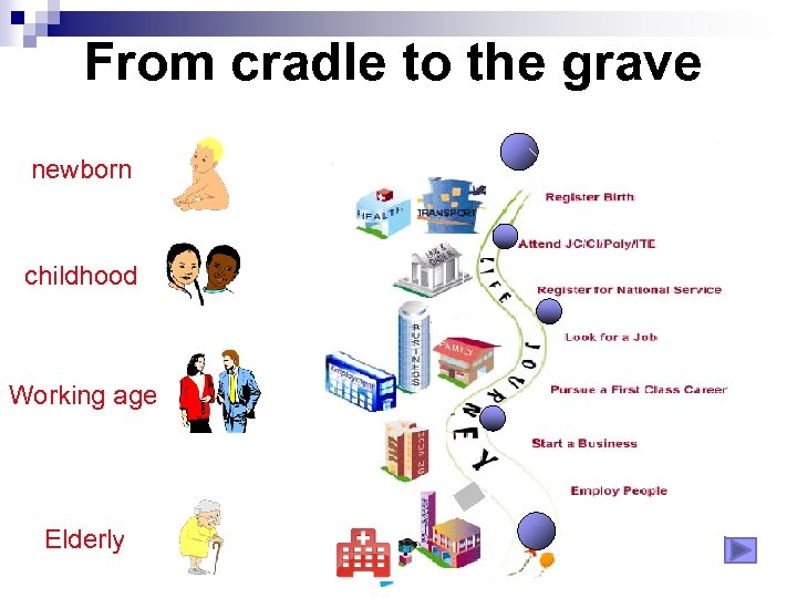 From cradle to the grave newborn childhood Working age Elderly 