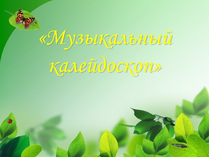  «Музыкальный калейдоскоп» 