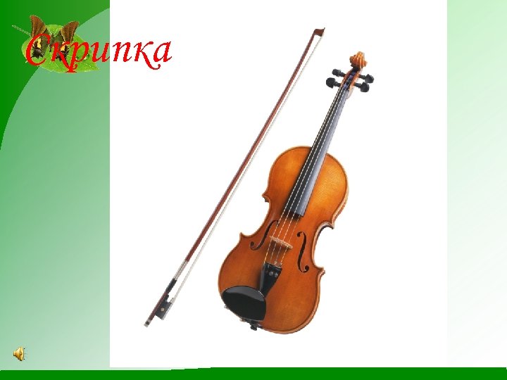 Скрипка 