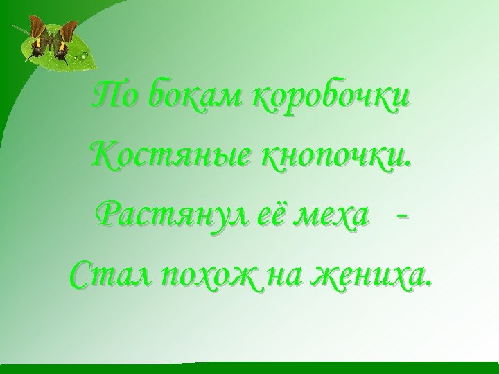 По бокам коробочки Костяные кнопочки. Растянул её меха Стал похож на жениха. 