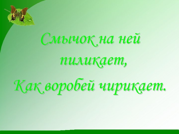 Смычок на ней пиликает, Как воробей чирикает. 