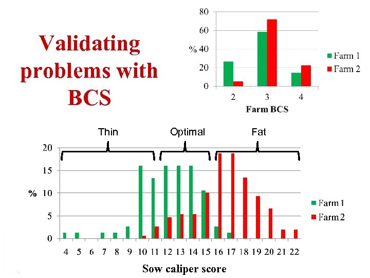 Validating problems with BCS Thin Optimal Sow caliper score Fat 