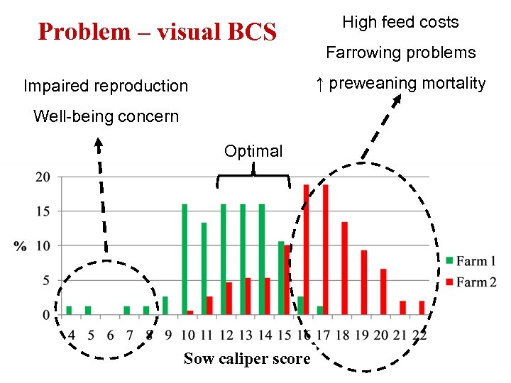 Problem – visual BCS High feed costs Farrowing problems ↑ preweaning mortality Impaired reproduction