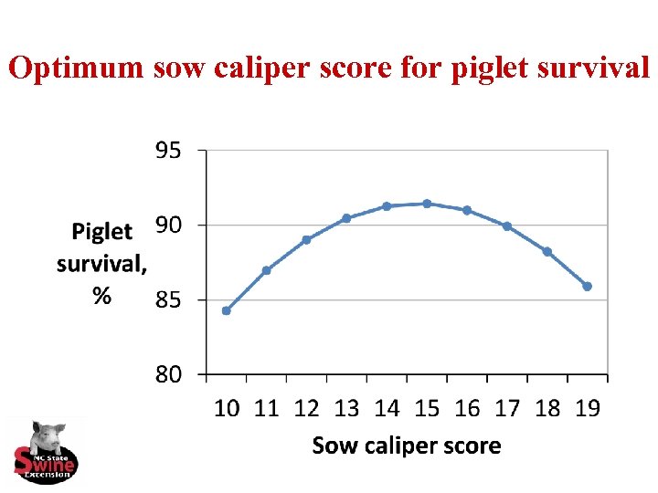 Optimum sow caliper score for piglet survival 