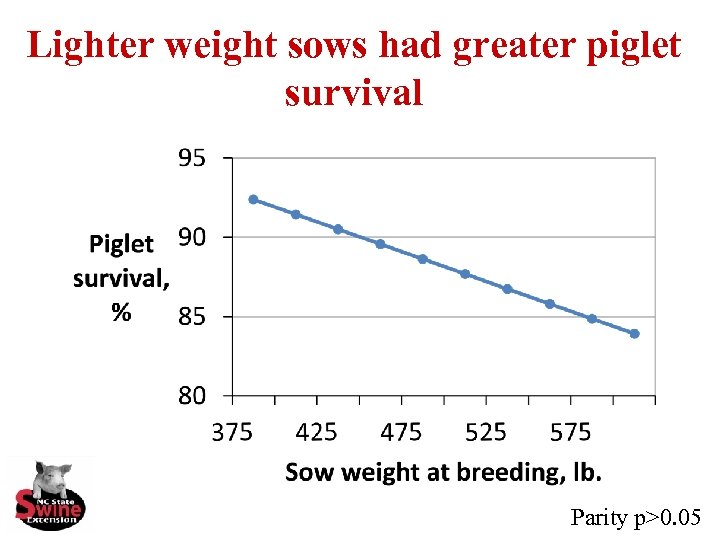 Lighter weight sows had greater piglet survival Parity p>0. 05 