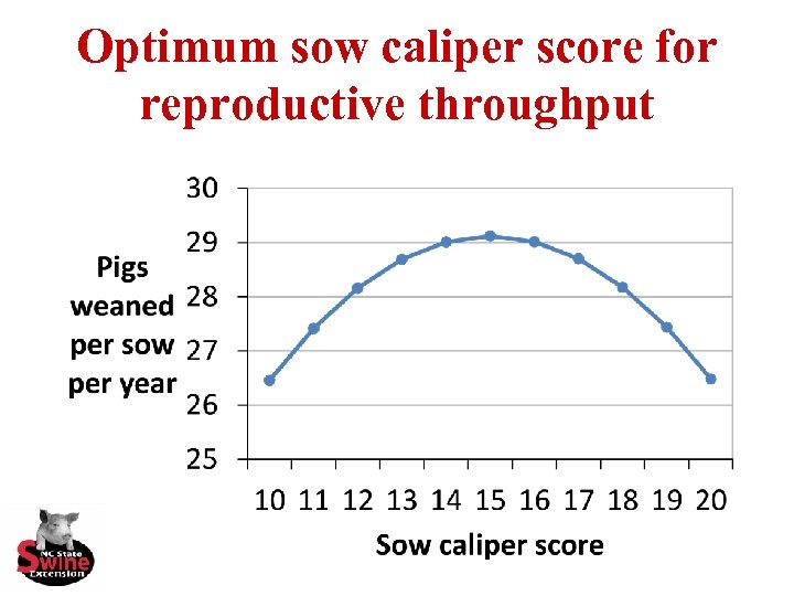 Optimum sow caliper score for reproductive throughput 