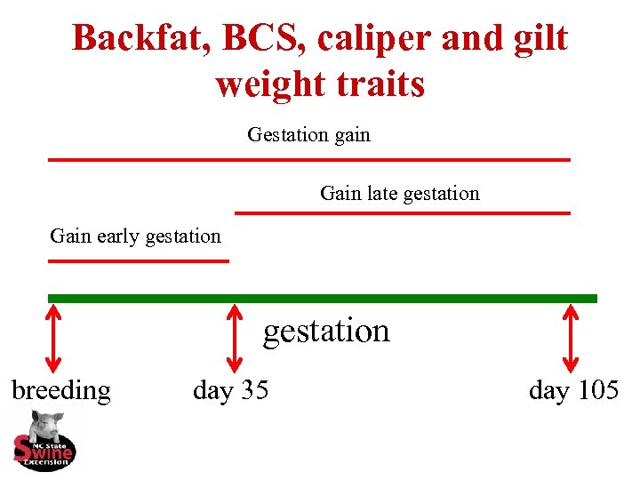 Backfat, BCS, caliper and gilt weight traits Gestation gain Gain late gestation Gain early