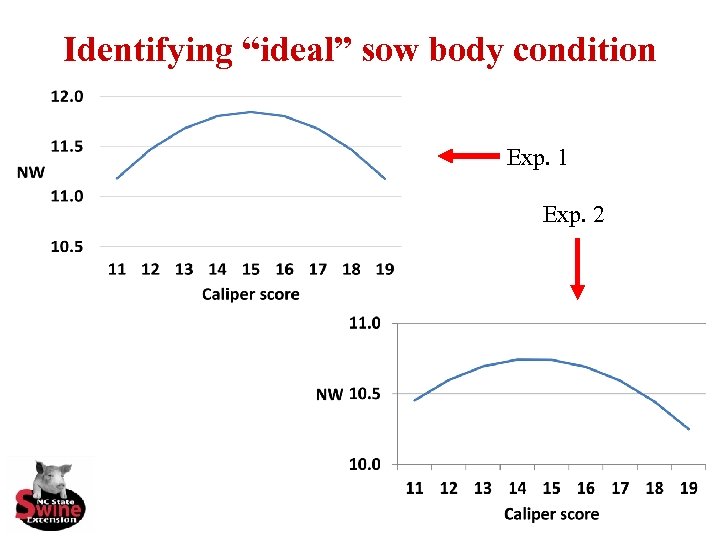 Identifying “ideal” sow body condition Exp. 1 Exp. 2 