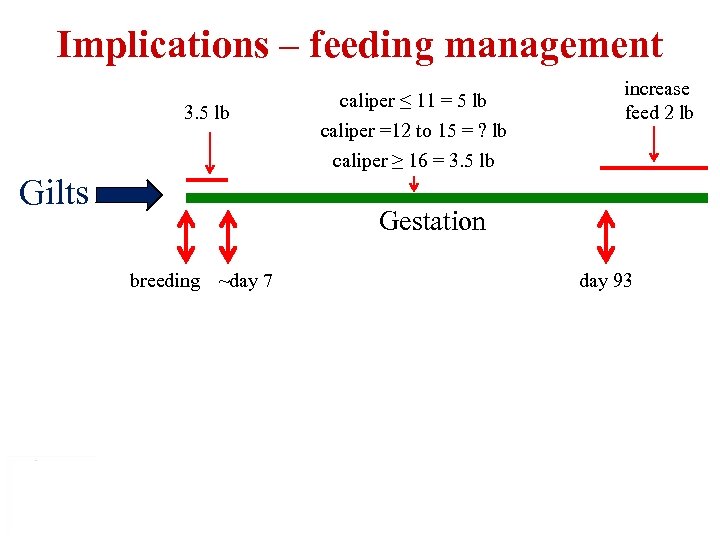 Implications – feeding management 3. 5 lb Gilts caliper ≤ 11 = 5 lb