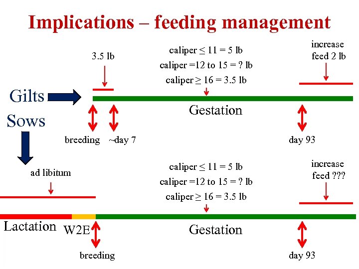 Implications – feeding management 3. 5 lb Gilts Sows caliper ≤ 11 = 5