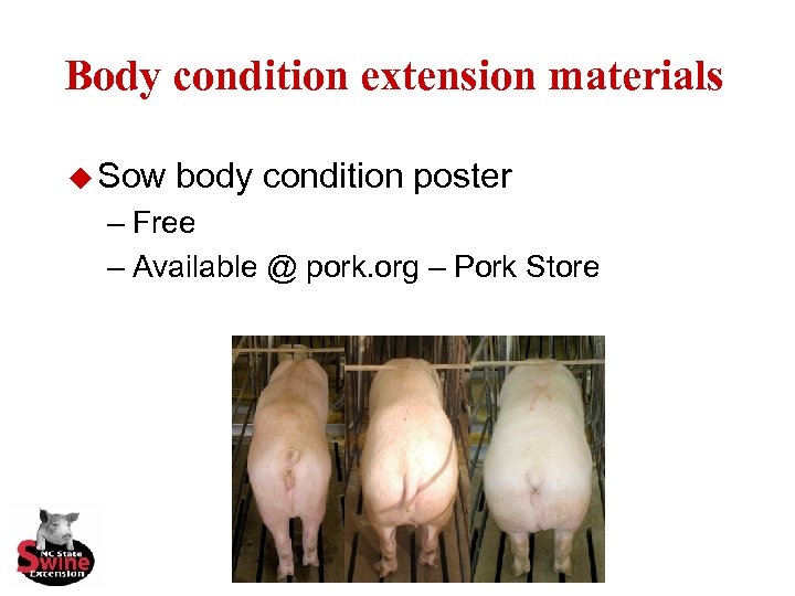 Body condition extension materials u Sow body condition poster – Free – Available @