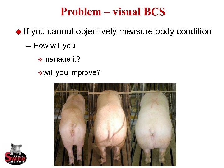 Problem – visual BCS u If you cannot objectively measure body condition – How