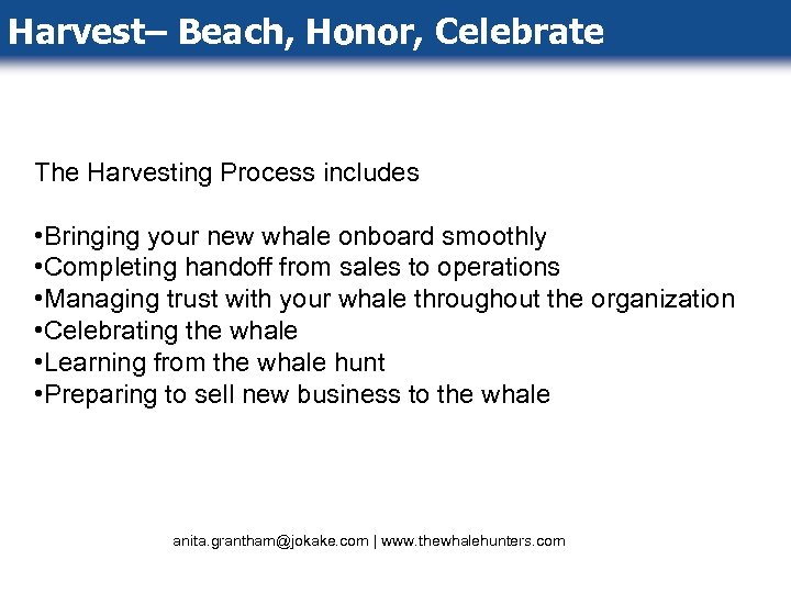 Harvest– Beach, Honor, Celebrate The Harvesting Process includes • Bringing your new whale onboard