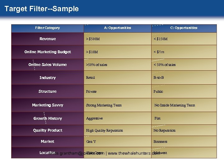 Target Filter--Sample Filter Category A: Opportunities C: Opportunities Revenue > $500 M < $150