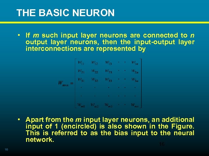  THE BASIC NEURON • If m such input layer neurons are connected to