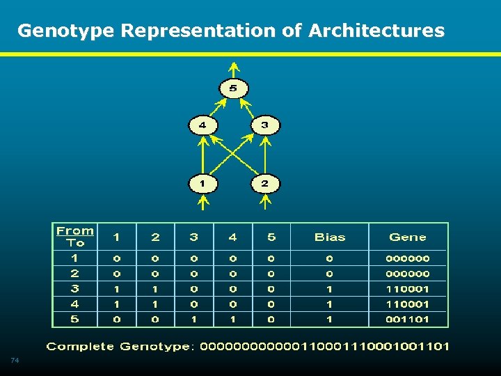 Genotype Representation of Architectures 74 