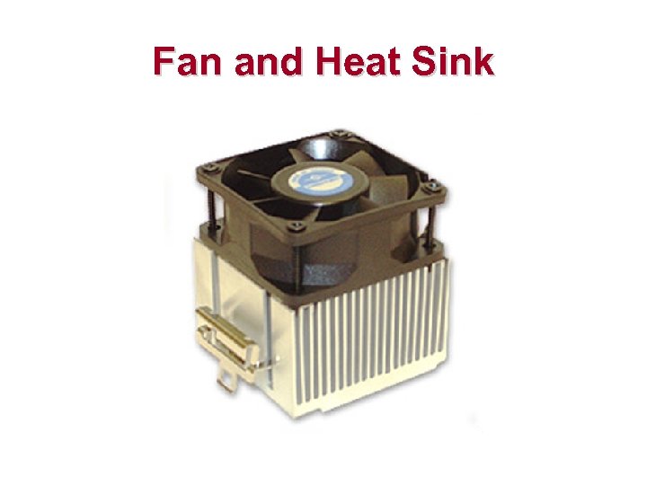 Fan and Heat Sink 