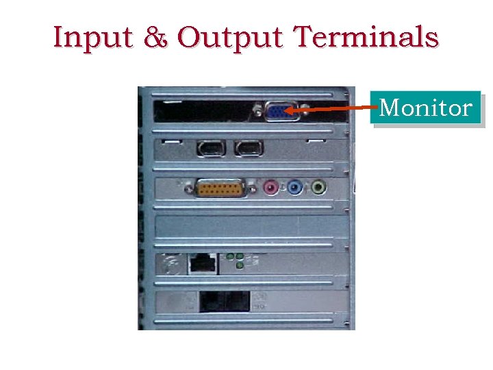Input & Output Terminals Monitor 