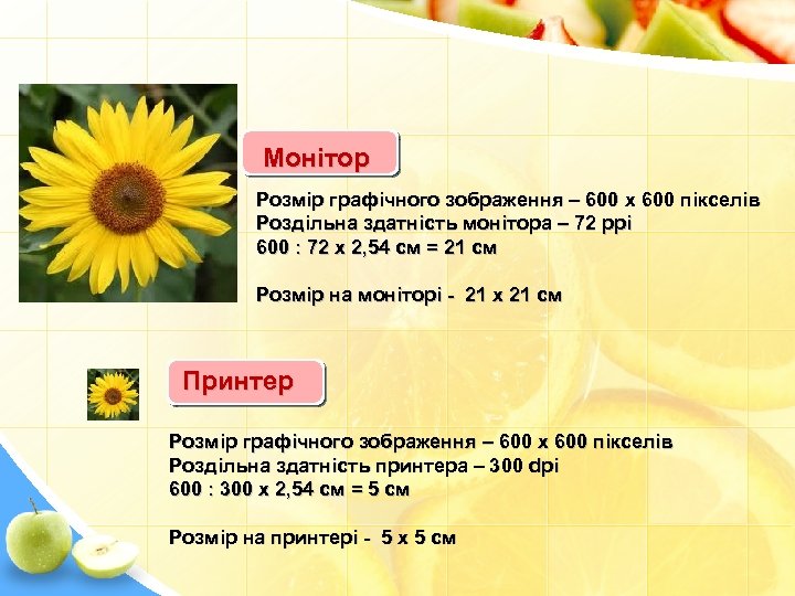 Монітор Розмір графічного зображення – 600 x 600 пікселів Роздільна здатність монітора – 72