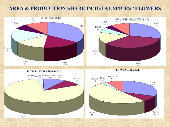 AREA & PRODUCTION SHARE IN TOTAL SPICES / FLOWERS 