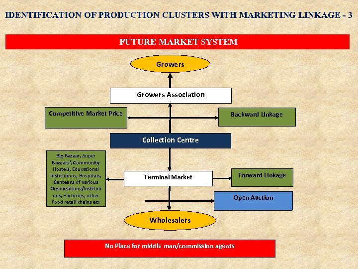 IDENTIFICATION OF PRODUCTION CLUSTERS WITH MARKETING LINKAGE - 3 FUTURE MARKET SYSTEM Growers Association