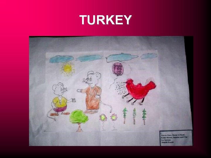 TURKEY 