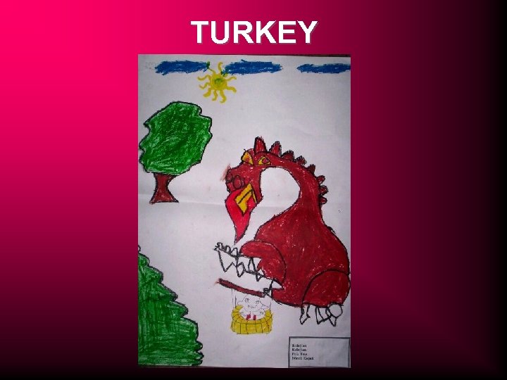 TURKEY 