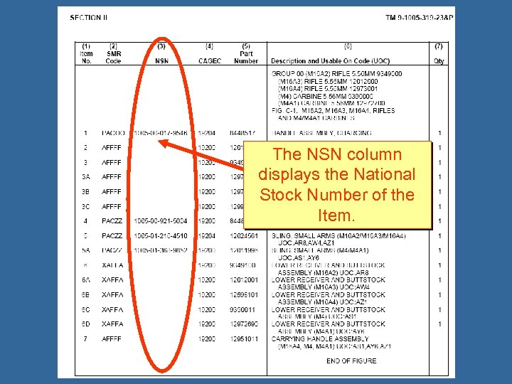 The NSN column displays the National Stock Number of the Item. 