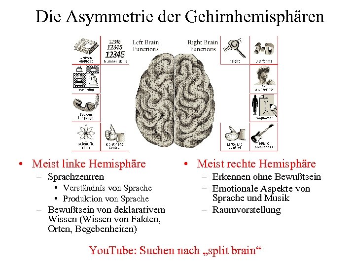 Die Asymmetrie der Gehirnhemisphären • Meist linke Hemisphäre – Sprachzentren • Verständnis von Sprache