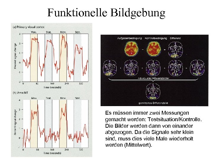 Funktionelle Bildgebung Es müssen immer zwei Messungen gemacht werden: Testsituation/Kontrolle. Die Bilder werden dann
