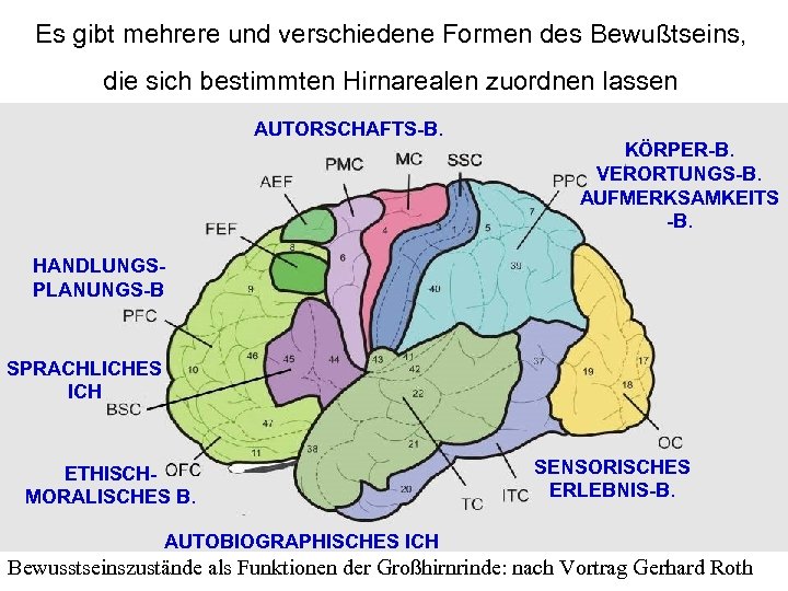 Es gibt mehrere und verschiedene Formen des Bewußtseins, die sich bestimmten Hirnarealen zuordnen lassen