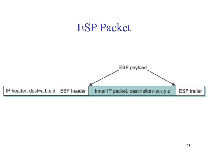 ESP Packet 25 