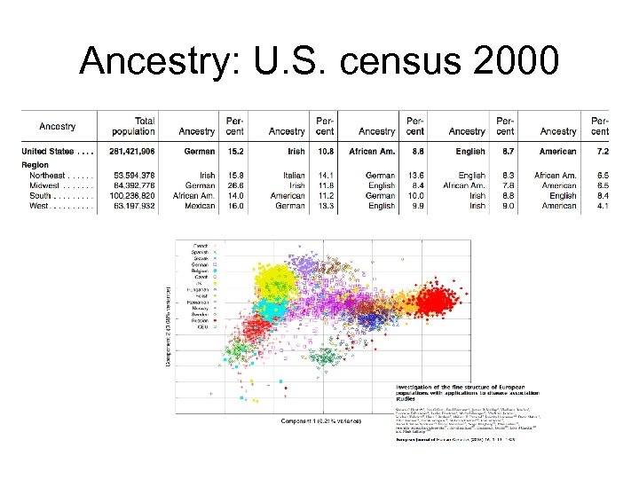 Ancestry: U. S. census 2000 